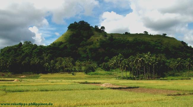 Landschaft bei Alicia, Bohol